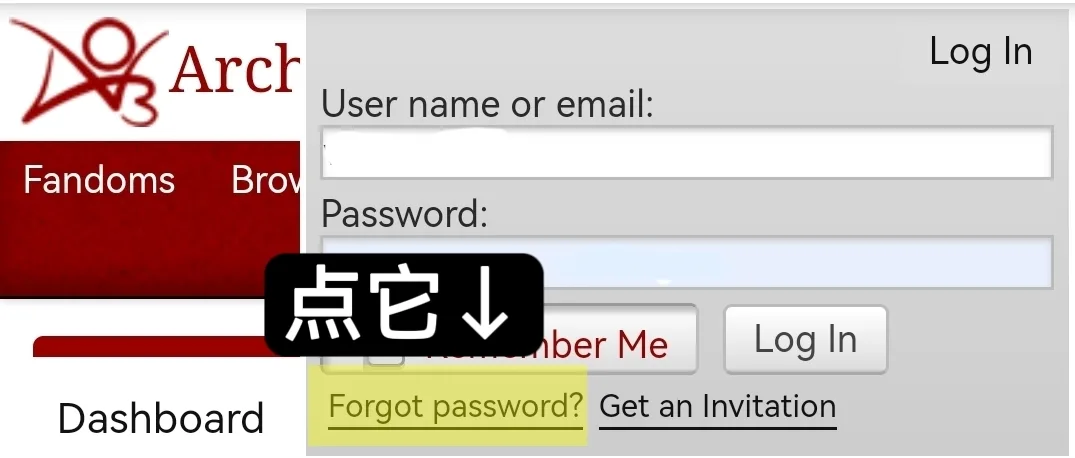 参考图片 2