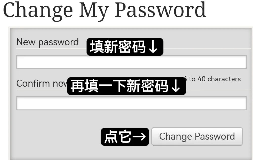 参考图片 5